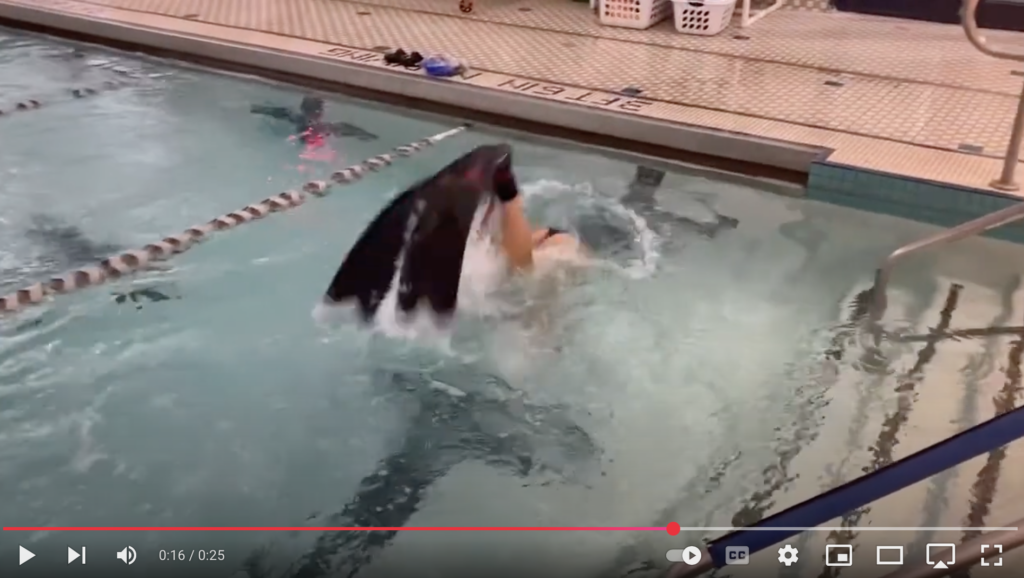 Harald's Flip