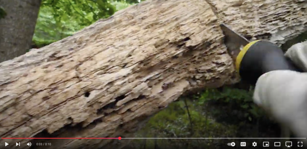 slow sawing